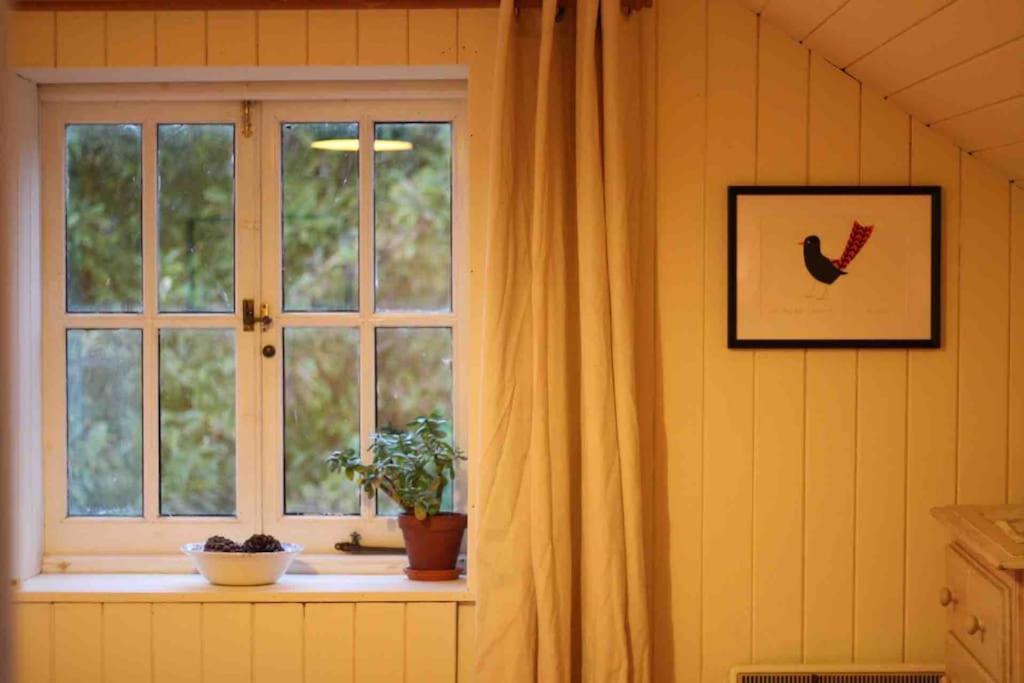 Trinity Annexe An Adorable First Floor Light And Lofty Space Within An Aonb Godmanstone Zewnętrze zdjęcie