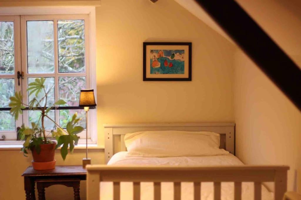 Trinity Annexe An Adorable First Floor Light And Lofty Space Within An Aonb Godmanstone Zewnętrze zdjęcie
