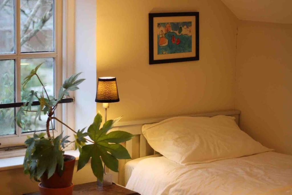 Trinity Annexe An Adorable First Floor Light And Lofty Space Within An Aonb Godmanstone Zewnętrze zdjęcie
