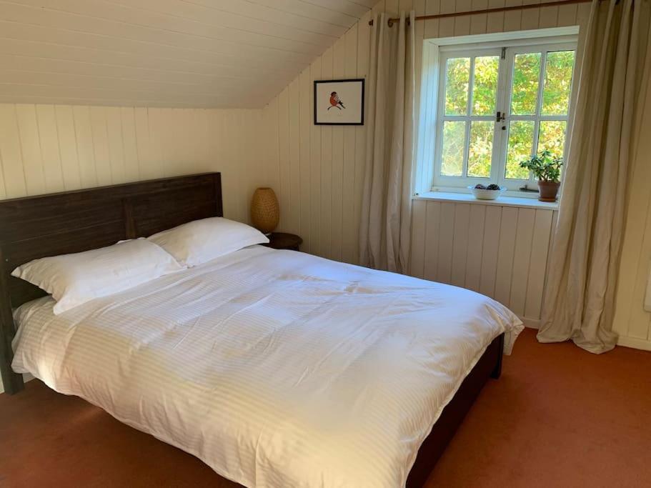 Trinity Annexe An Adorable First Floor Light And Lofty Space Within An Aonb Godmanstone Zewnętrze zdjęcie